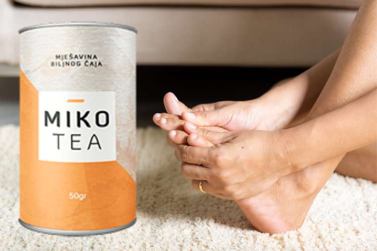 Mikotea cena