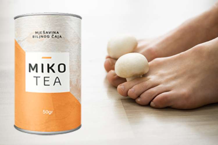 Mikotea sastojci