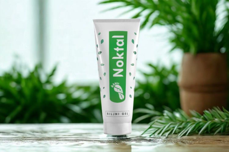 Noktal